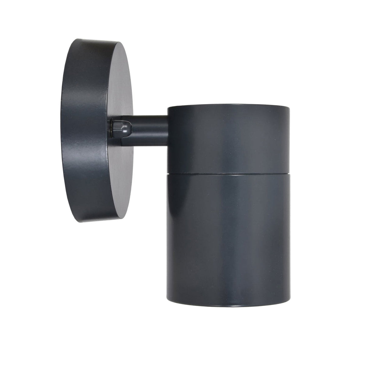 Regent Exterior Down Light in Carbon