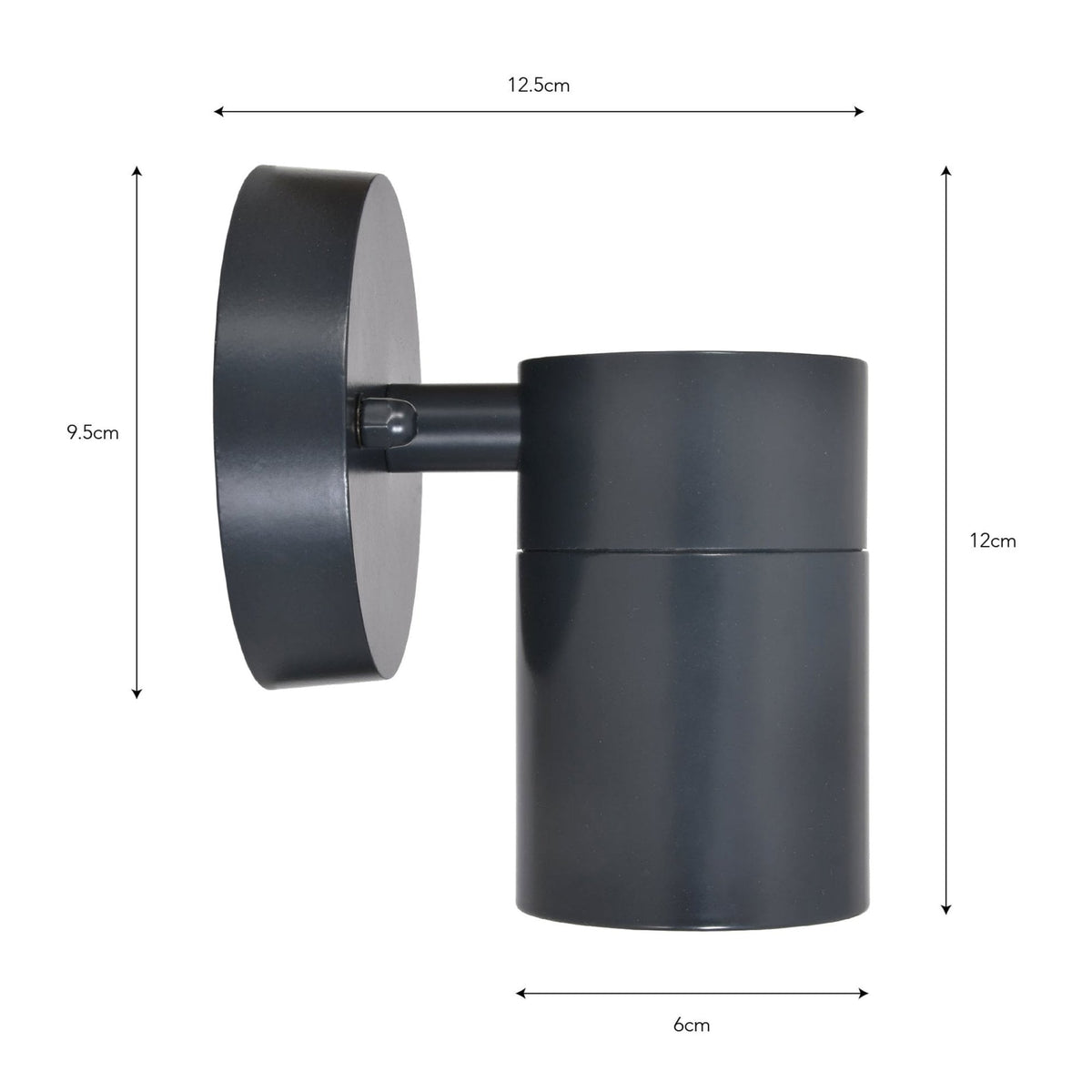 Regent Exterior Down Light in Carbon