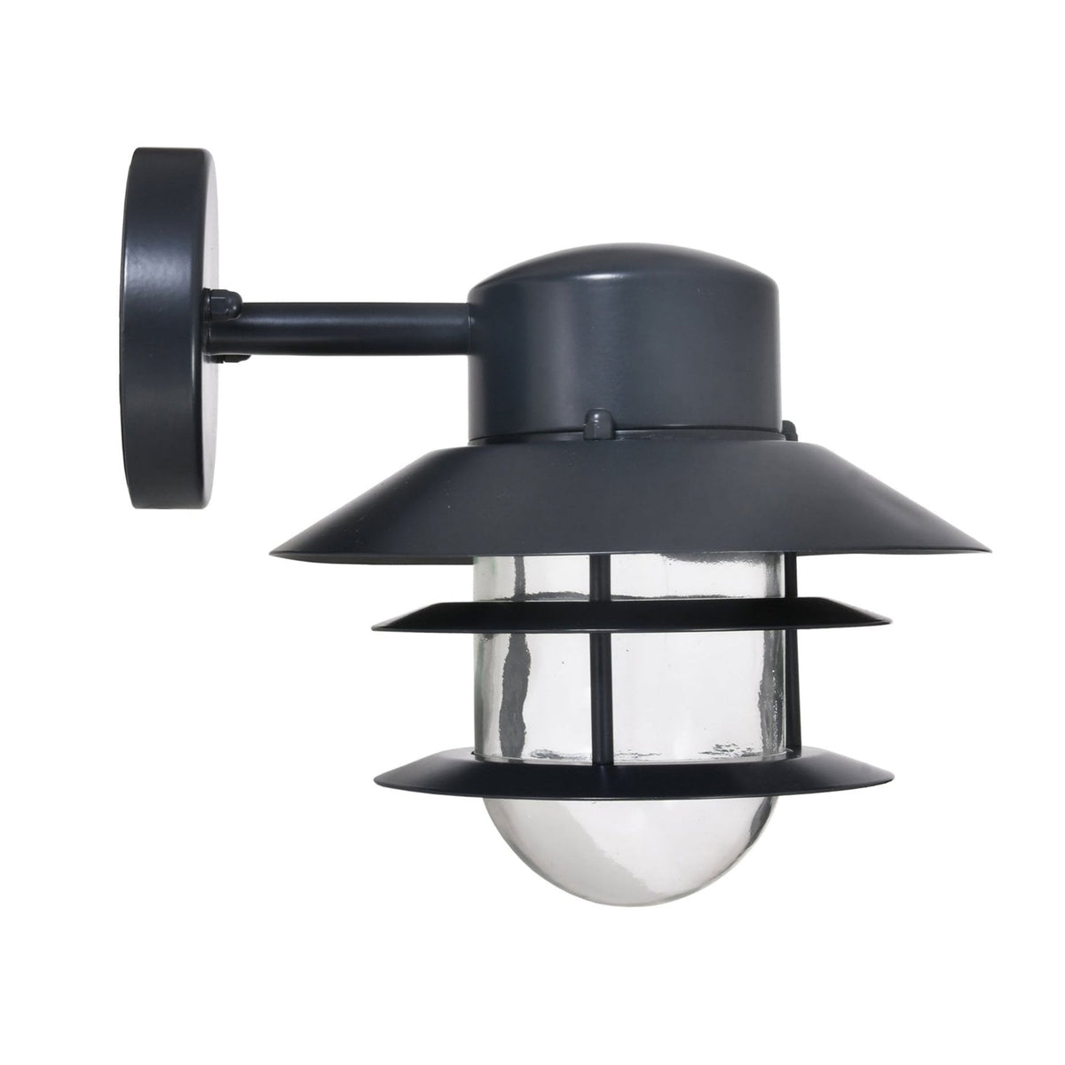 Strand Down Exterior wall Light in Carbon