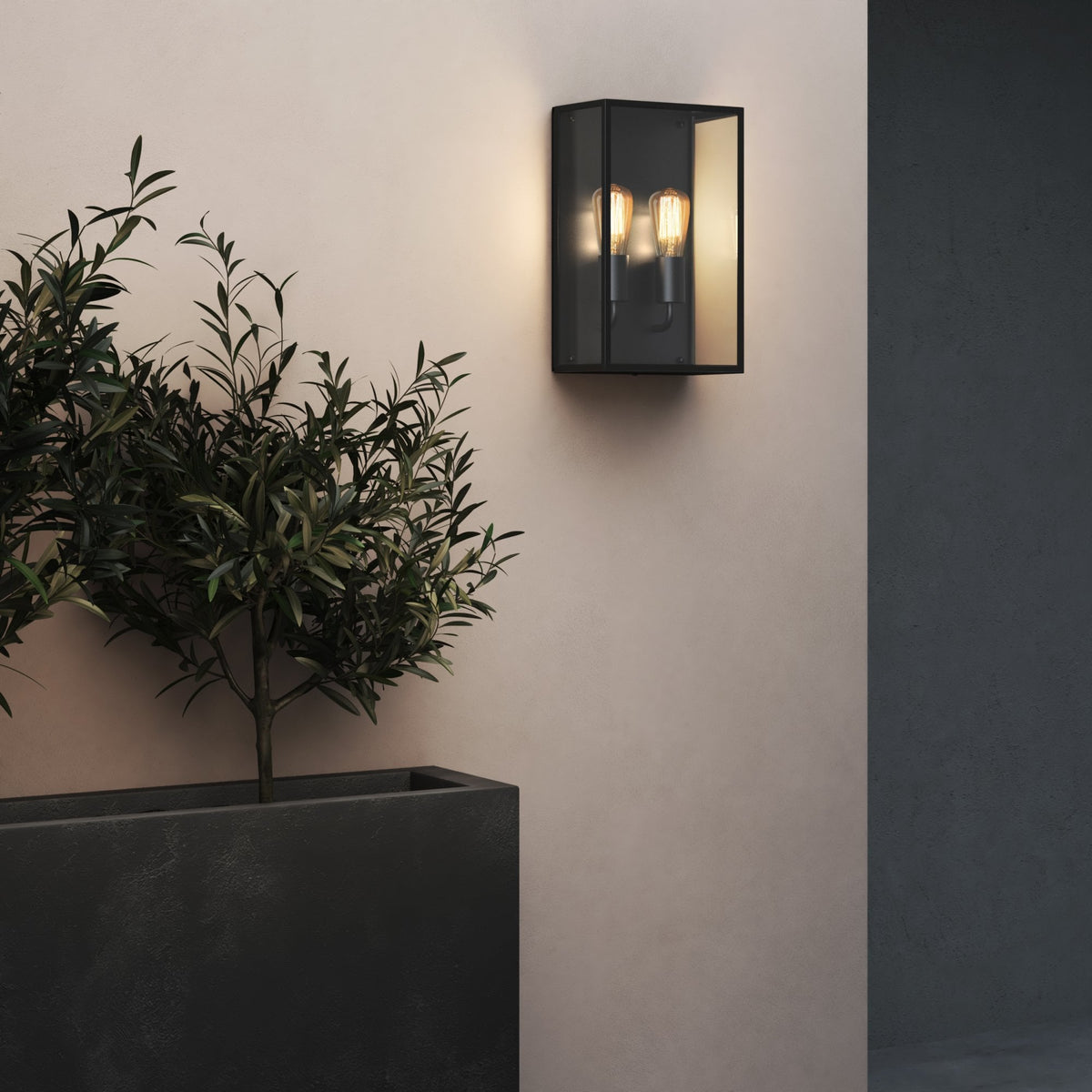 Black rectangular outdoor wall light with two exposed bulbs, mounted on a light wall next to a plant