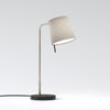 Mitsu Table Lamp in Matt Nickel