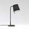 Mitsu Table Lamp in Bronze