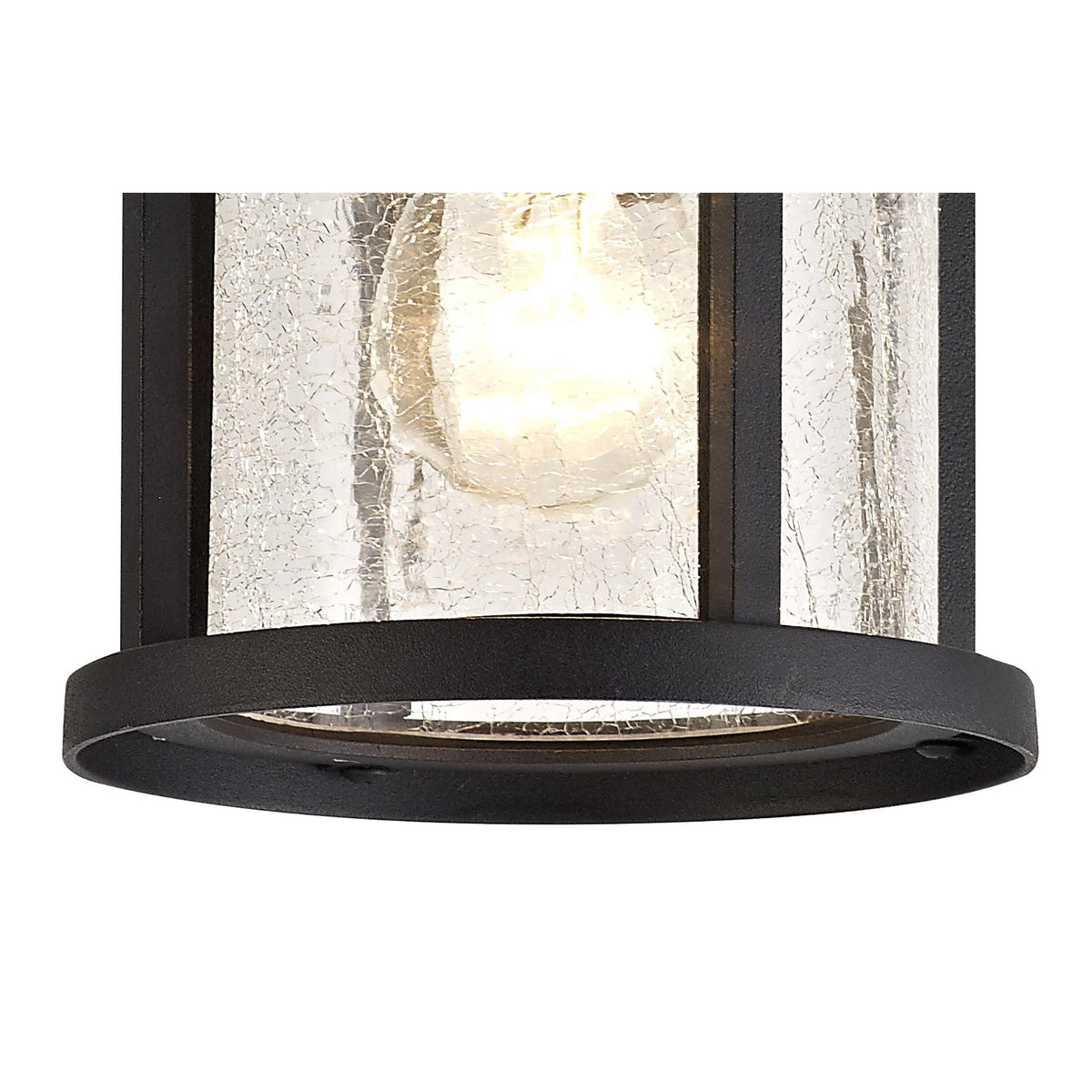 Ermington IP54 Ceiling Light in Black with Clear Crackled Glass