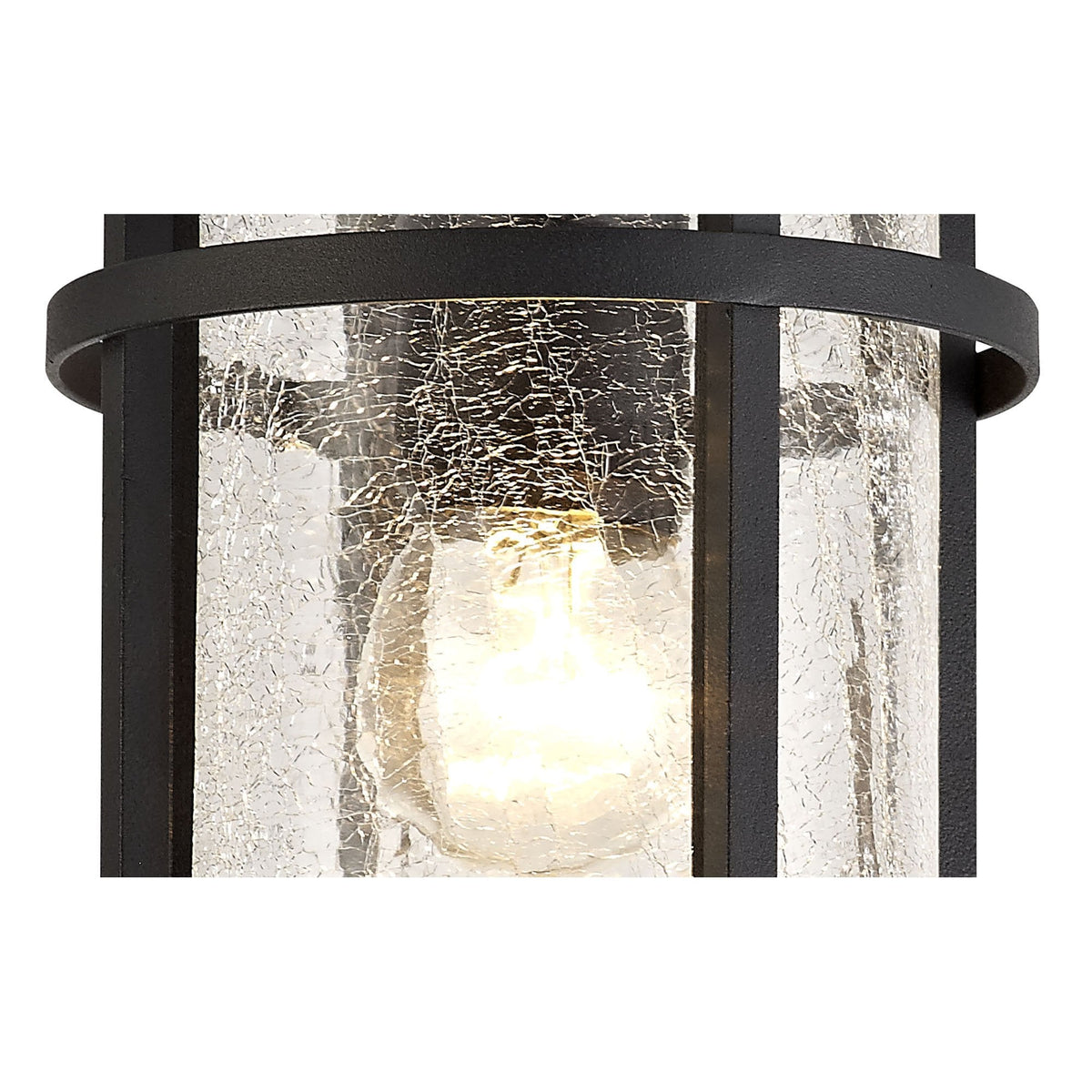 Ermington IP54 Ceiling Light in Black with Clear Crackled Glass