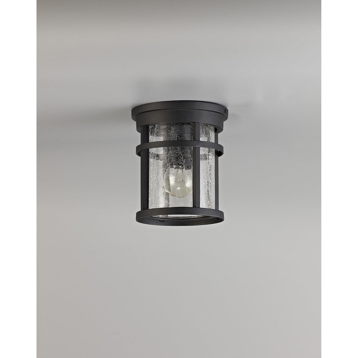 Ermington IP54 Ceiling Light in Black with Clear Crackled Glass