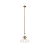 Fremington E27 Antique Brass Linear Pendant With Large Flat Round Glass Shades
