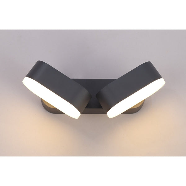 Ipplepen Twin Adjustable LED IP54 Wall Light in Anthracite