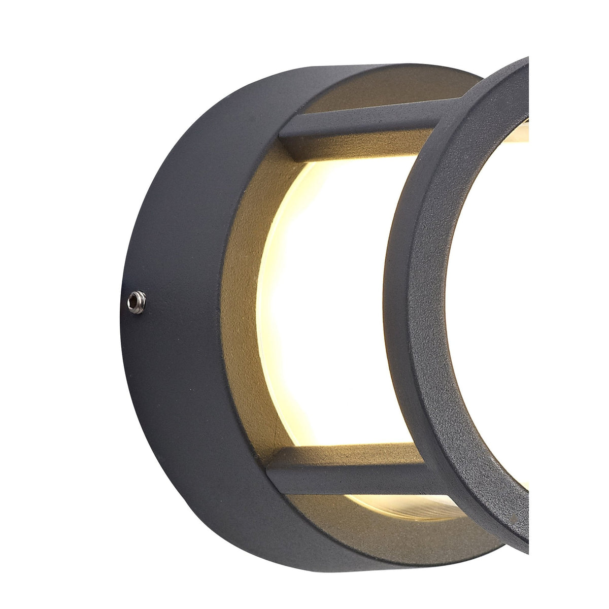 Bicton Small Round IP54 LED Wall or Ceiling Light in Anthracite