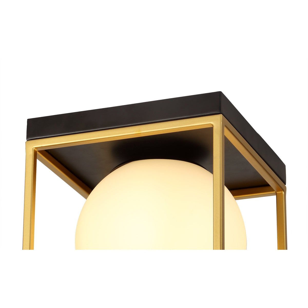 Holcombe Square Ceiling Light in Matt Black & Painted Gold