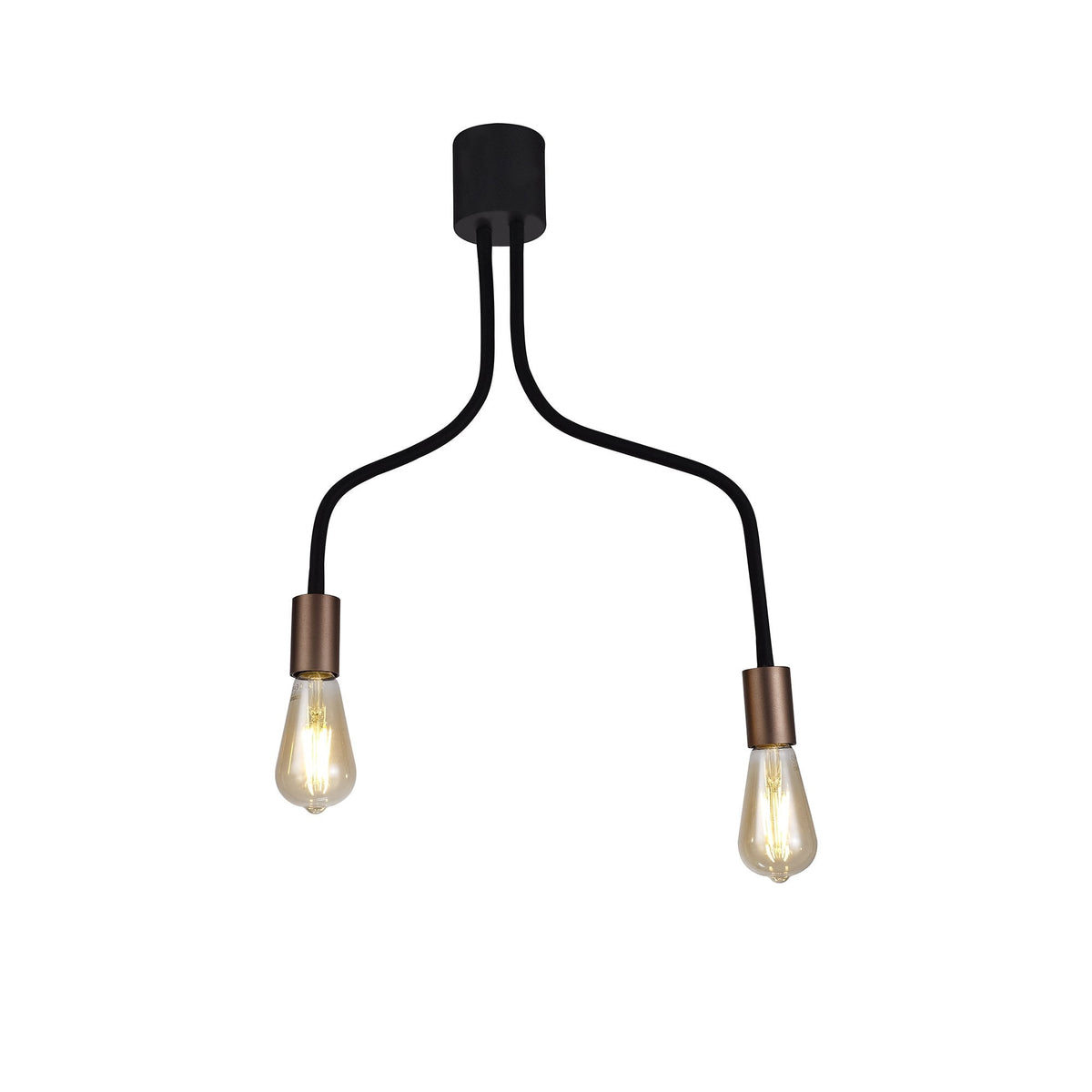 Wooton Flexible Ceiling 2 Light E27 in Black and Brushed Copper