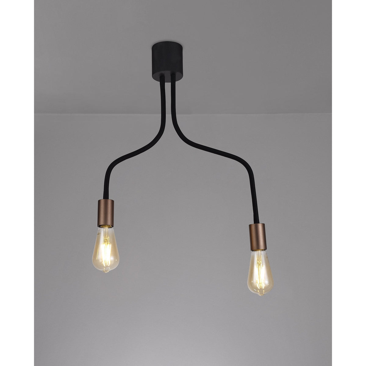 Wooton Flexible Ceiling 2 Light E27 in Black and Brushed Copper