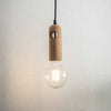 Danvers Pendant Light in Cork