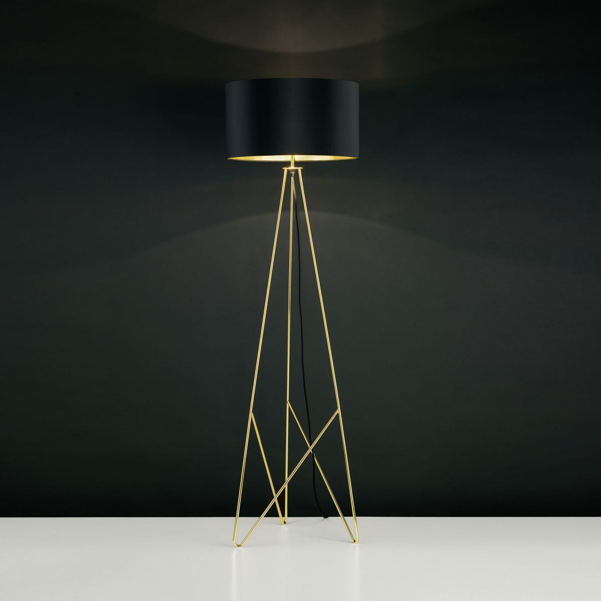 Camporale Black and Gold Floor Light