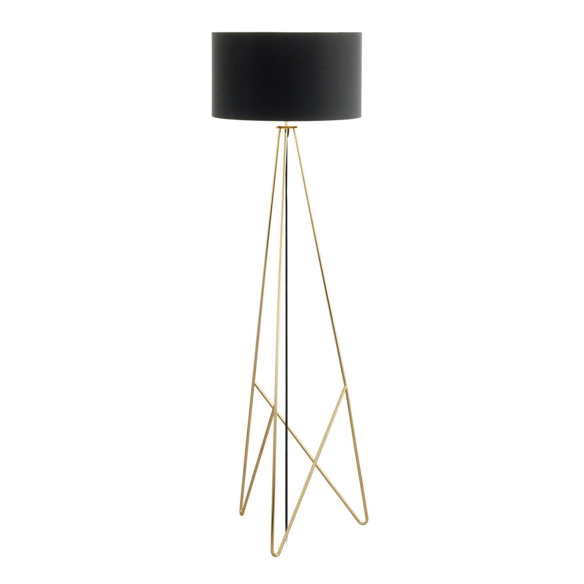 Camporale Black and Gold Floor Light