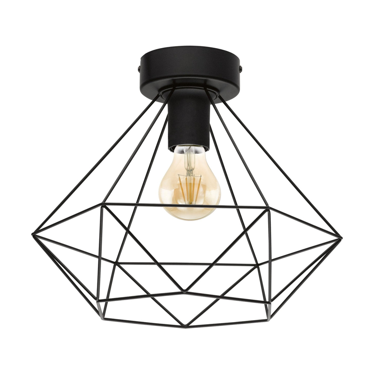 Tarbes Black Cage Ceiling Light