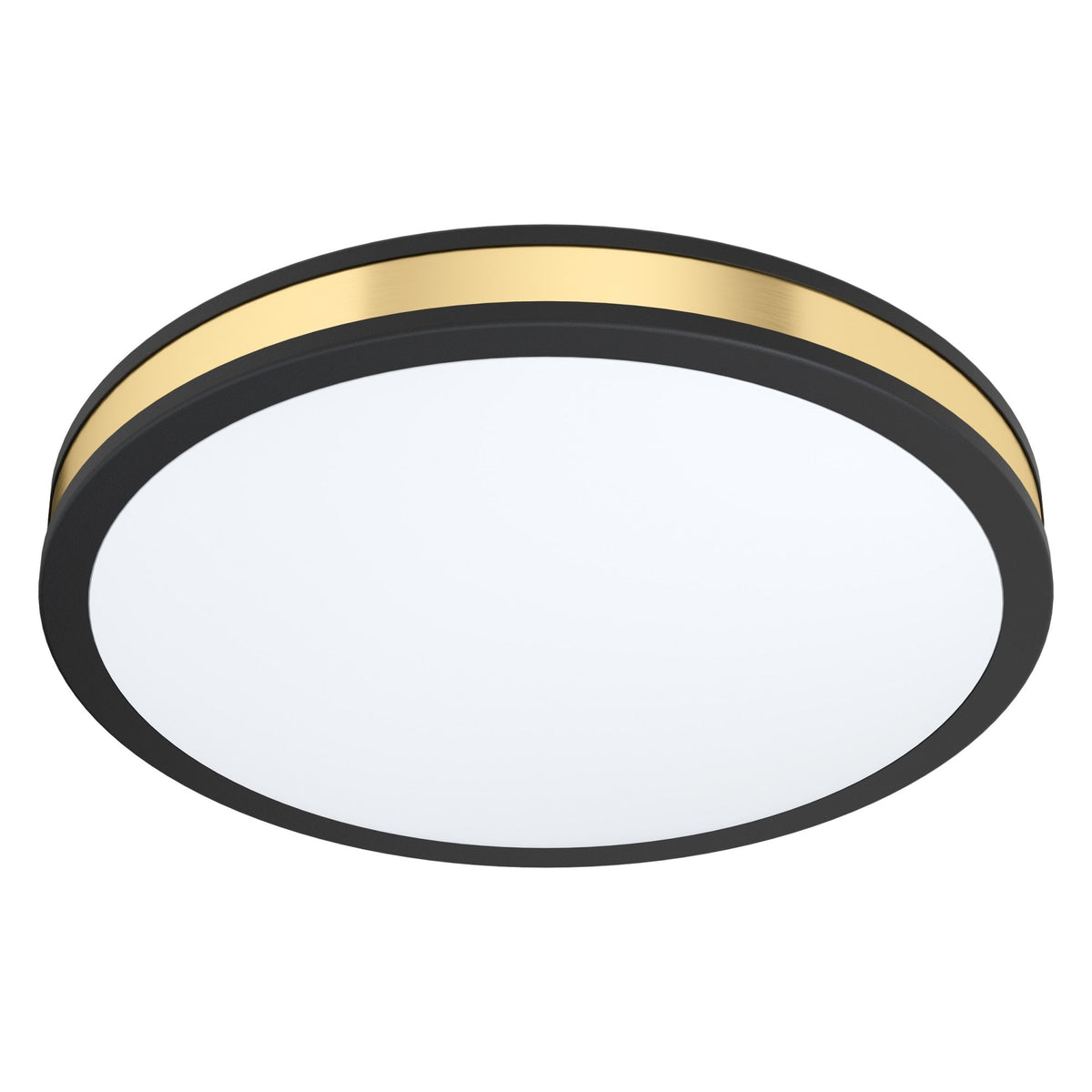 Pescaito 380mm 24w LED Ceiling Light in Black and Gold