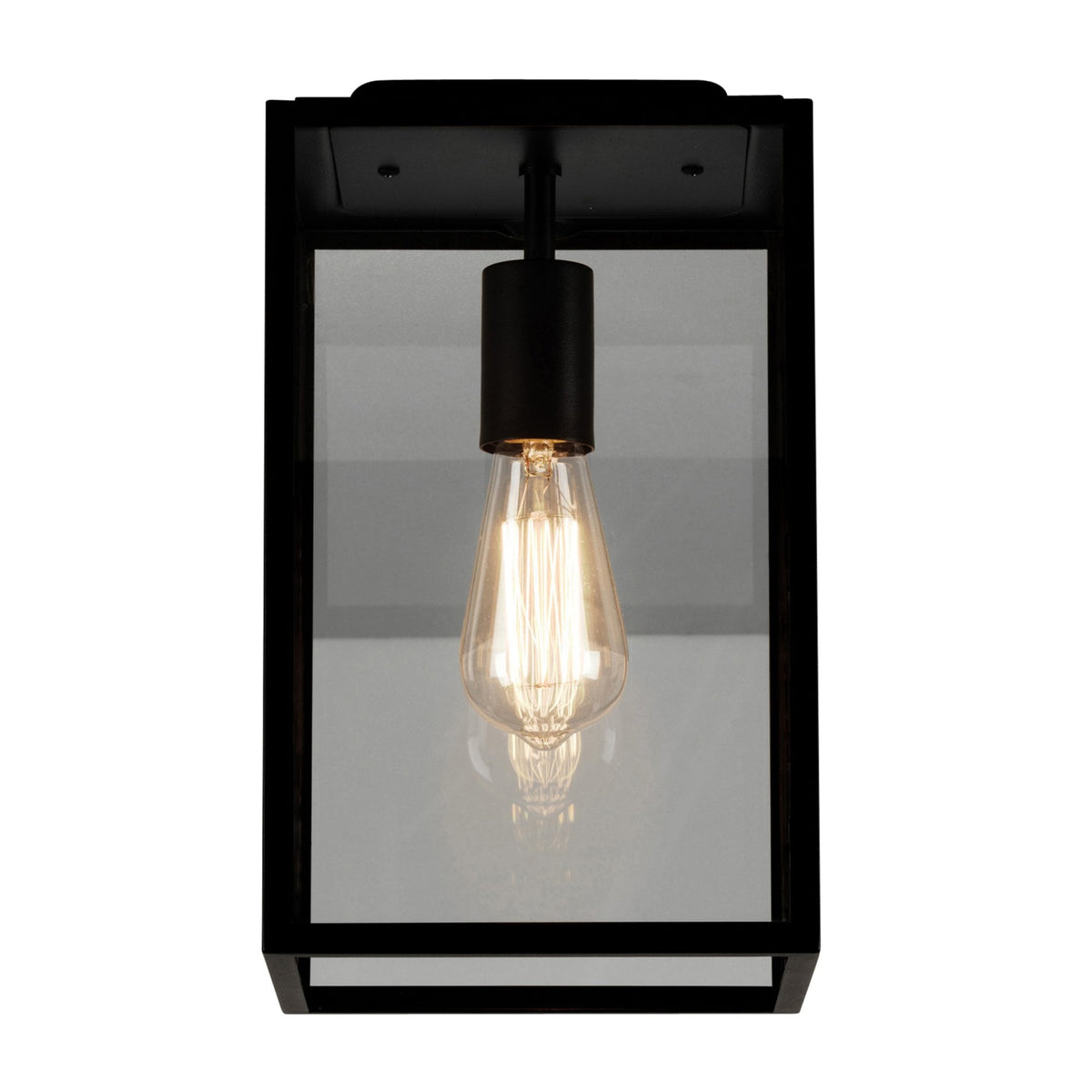 Homefield Ceiling Light in Black