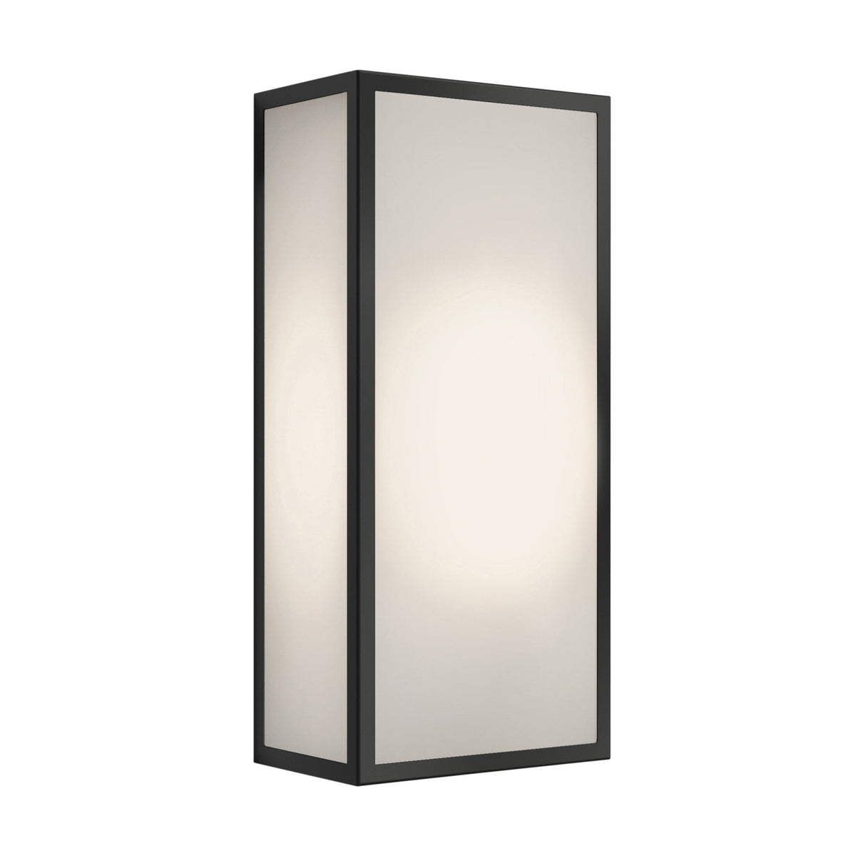 Messina Frosted II IP44 Exterior Black Wall Light