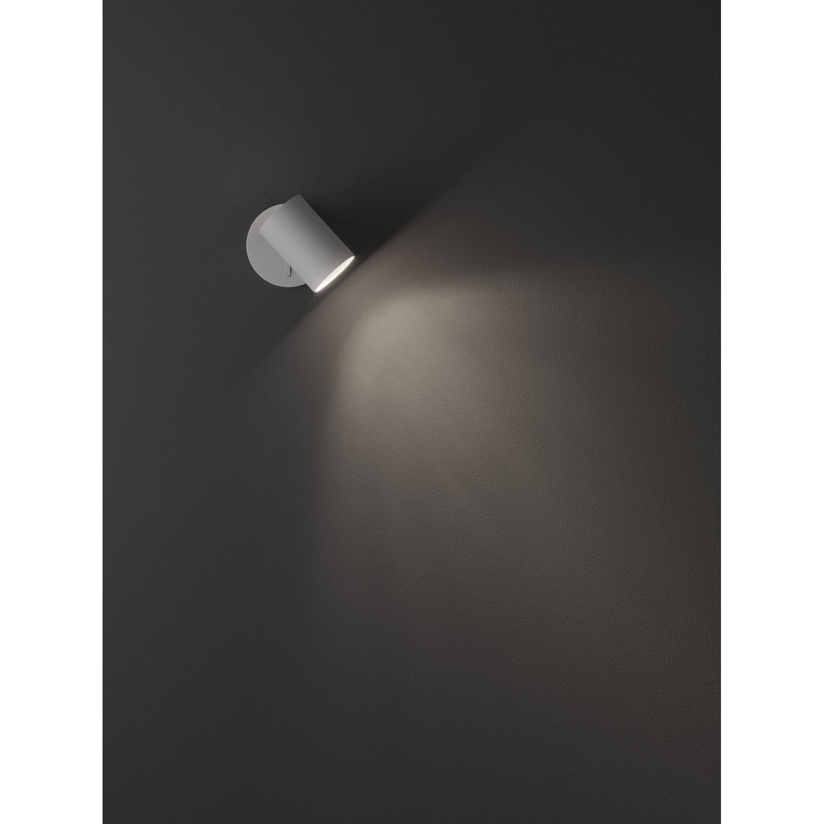 Ascoli Single Switched Spotlight in White