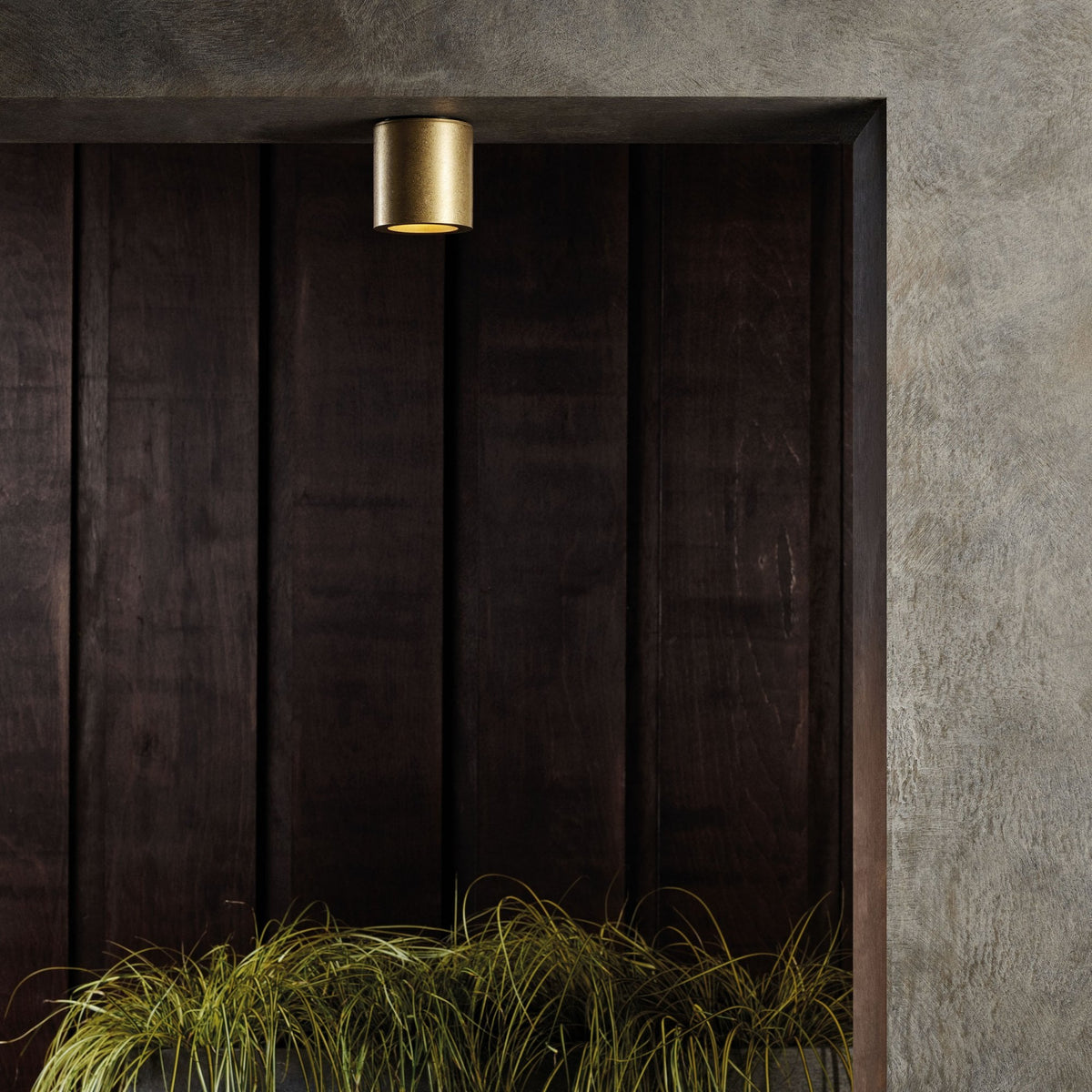 A gold cylindrical light fixture illuminates a dark wood panelled wall with green grass-like plants below