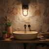Cabin IP44 Wall Light in Bronze and Clear Glass Shade