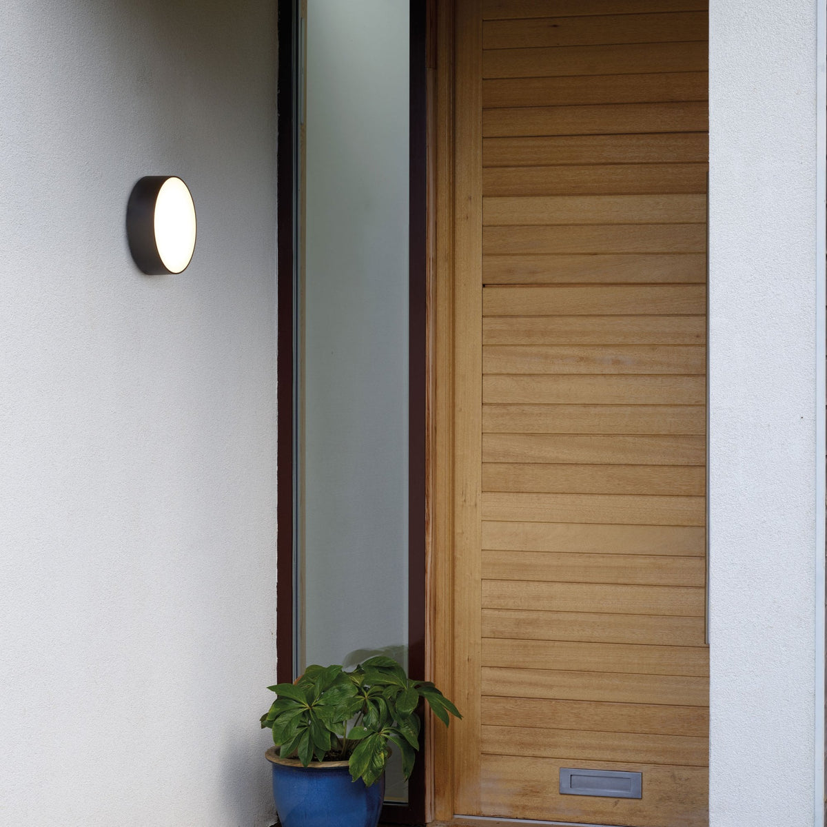 Kea 250 IP65 LED Wall Light in Black