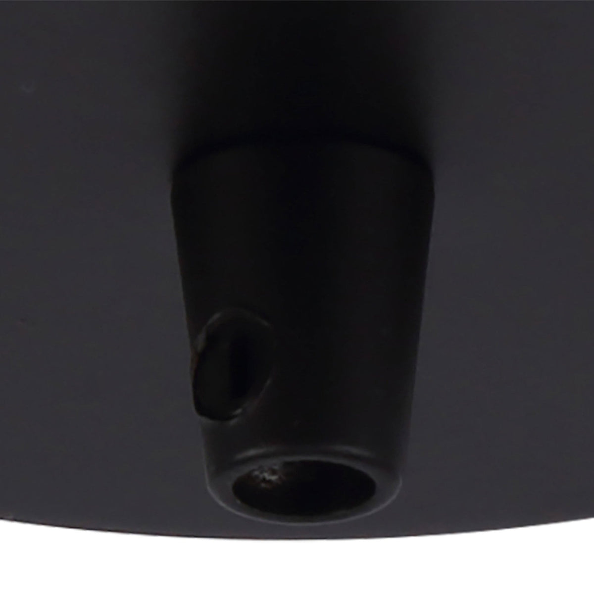 Abode Single Cable Round Ceiling Rose in Black