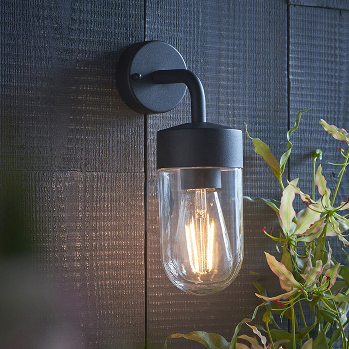 Black outdoor wall light with a clear glass shade and exposed filament bulb on a dark wooden wall.
