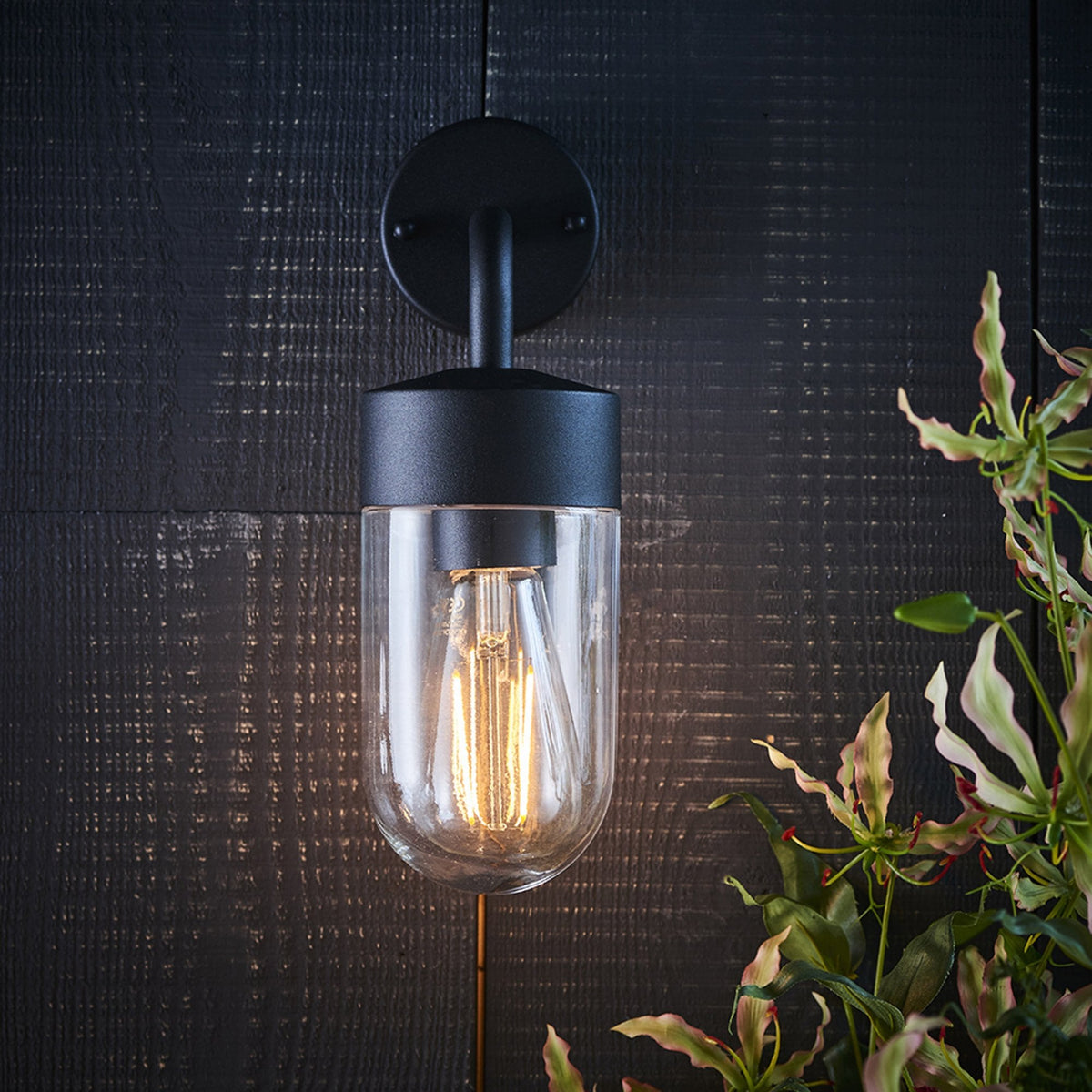 Black outdoor wall light with a clear glass shade and exposed filament bulb on a dark wooden wall.