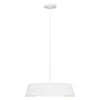 Asher 5 Lamp Single Pendant in Matt White