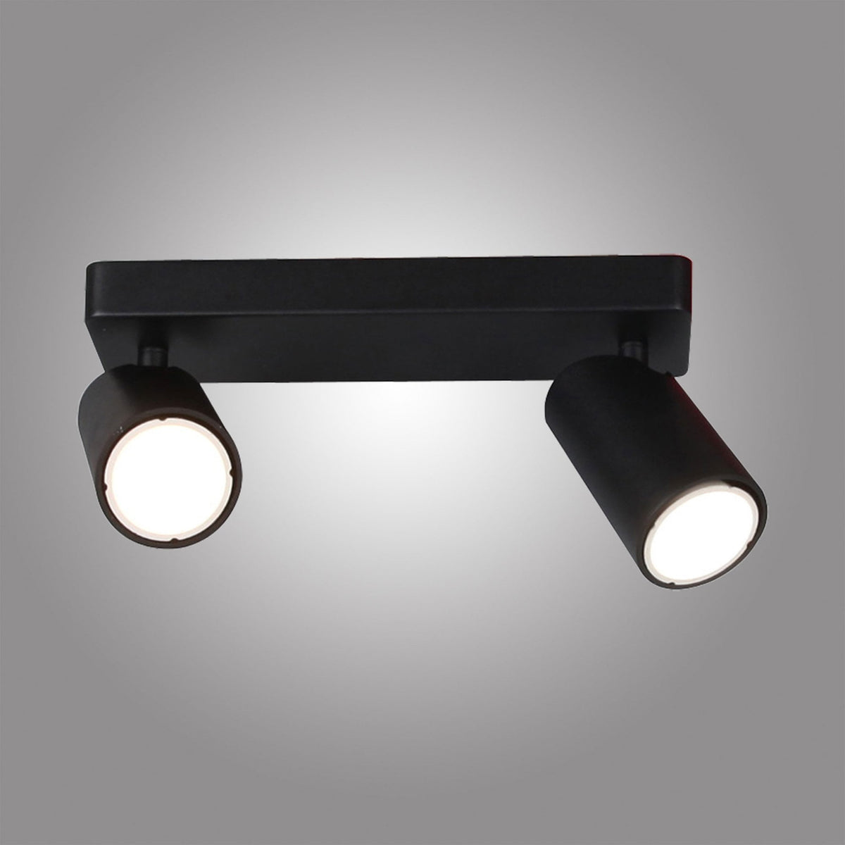 Sal Linear Two Light Bar Spotlight in Matt Black