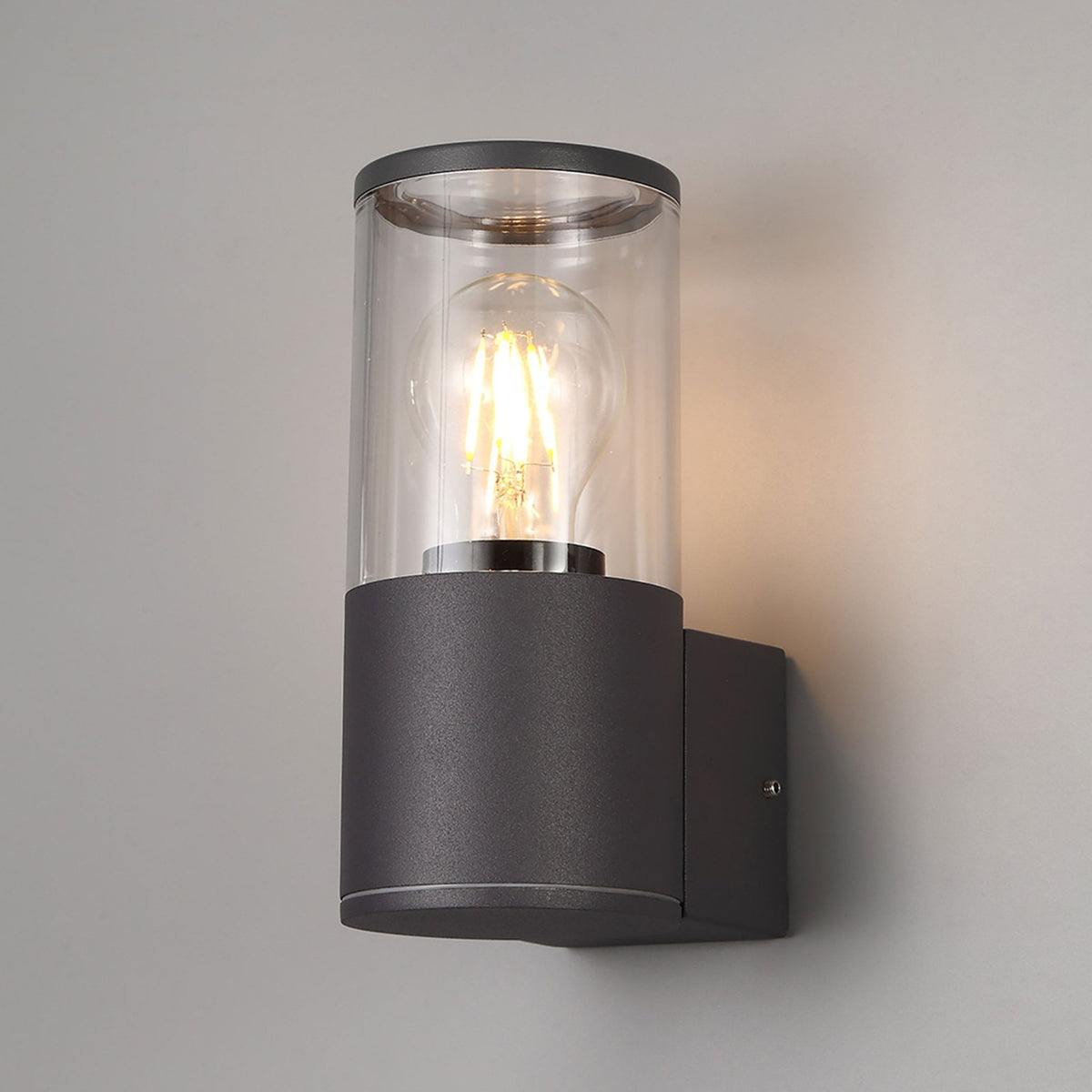 Merrivale IP54 Exterior Wall Light in Anthracite with Clear Diffuser