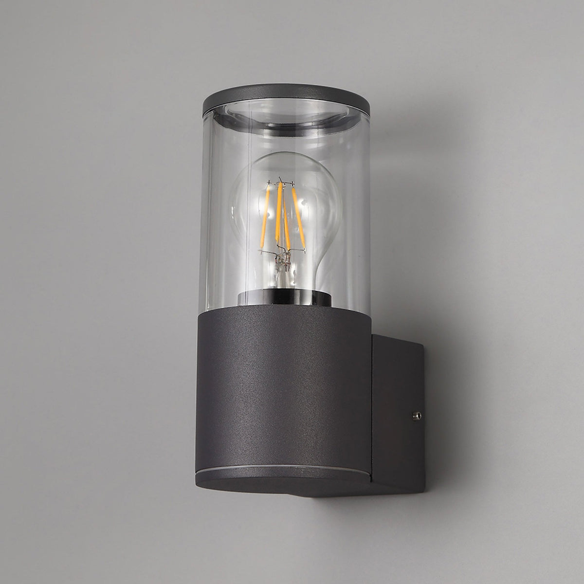 Merrivale IP54 Exterior Wall Light in Anthracite with Clear Diffuser