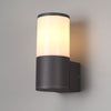 Merrivale IP54 Exterior Wall Light in Anthracite with Opal Diffuser