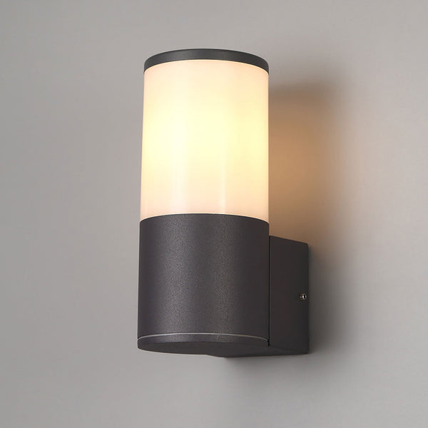 Merrivale IP54 Exterior Wall Light in Anthracite with Opal Diffuser