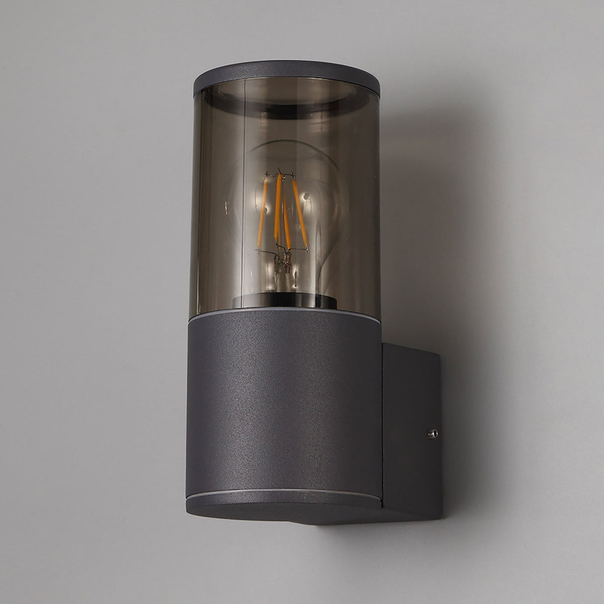 Merrivale IP54 Exterior Wall Light in Anthracite with Smoked Diffuser
