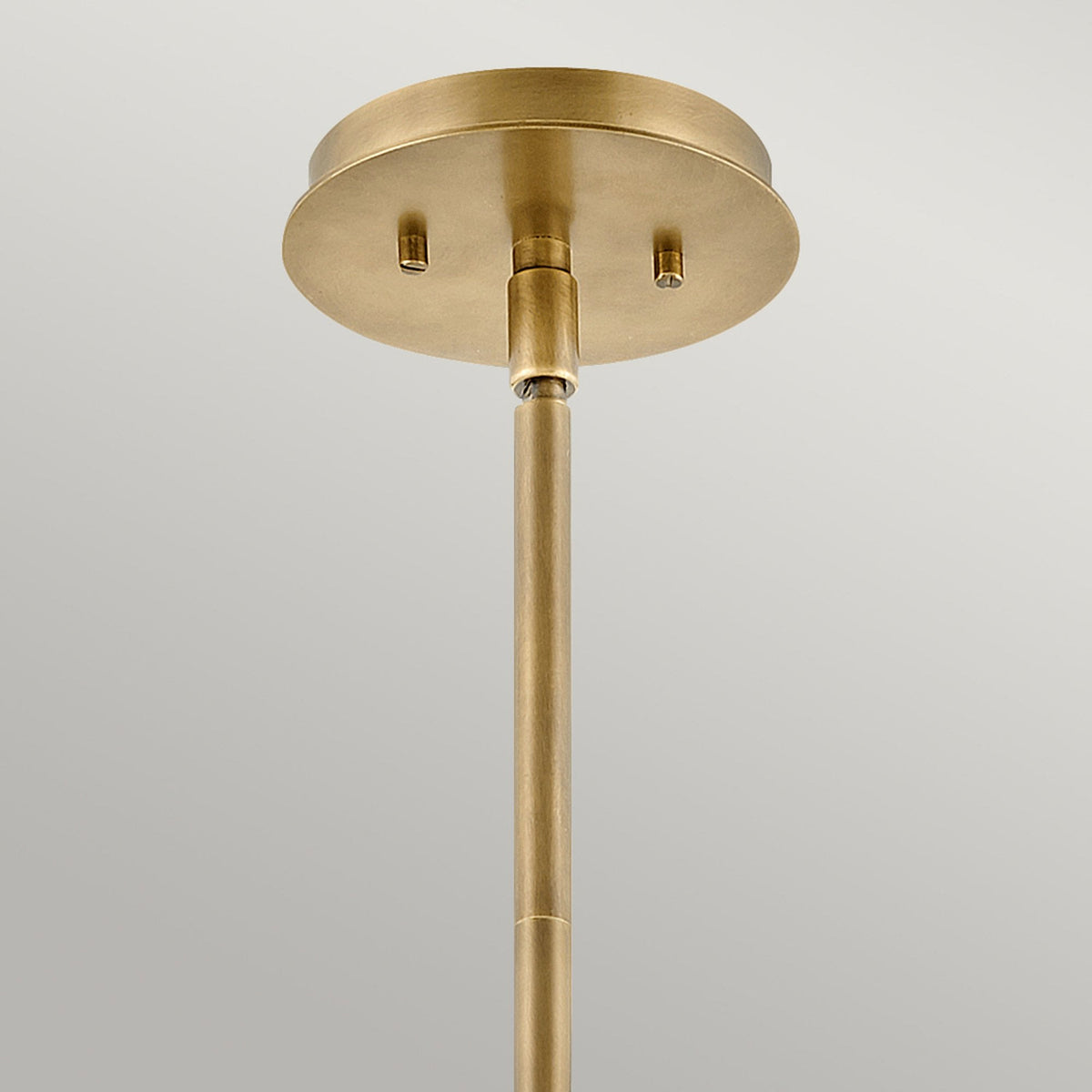 Lotus Pendant or Ceiling Light in Heritage Brass