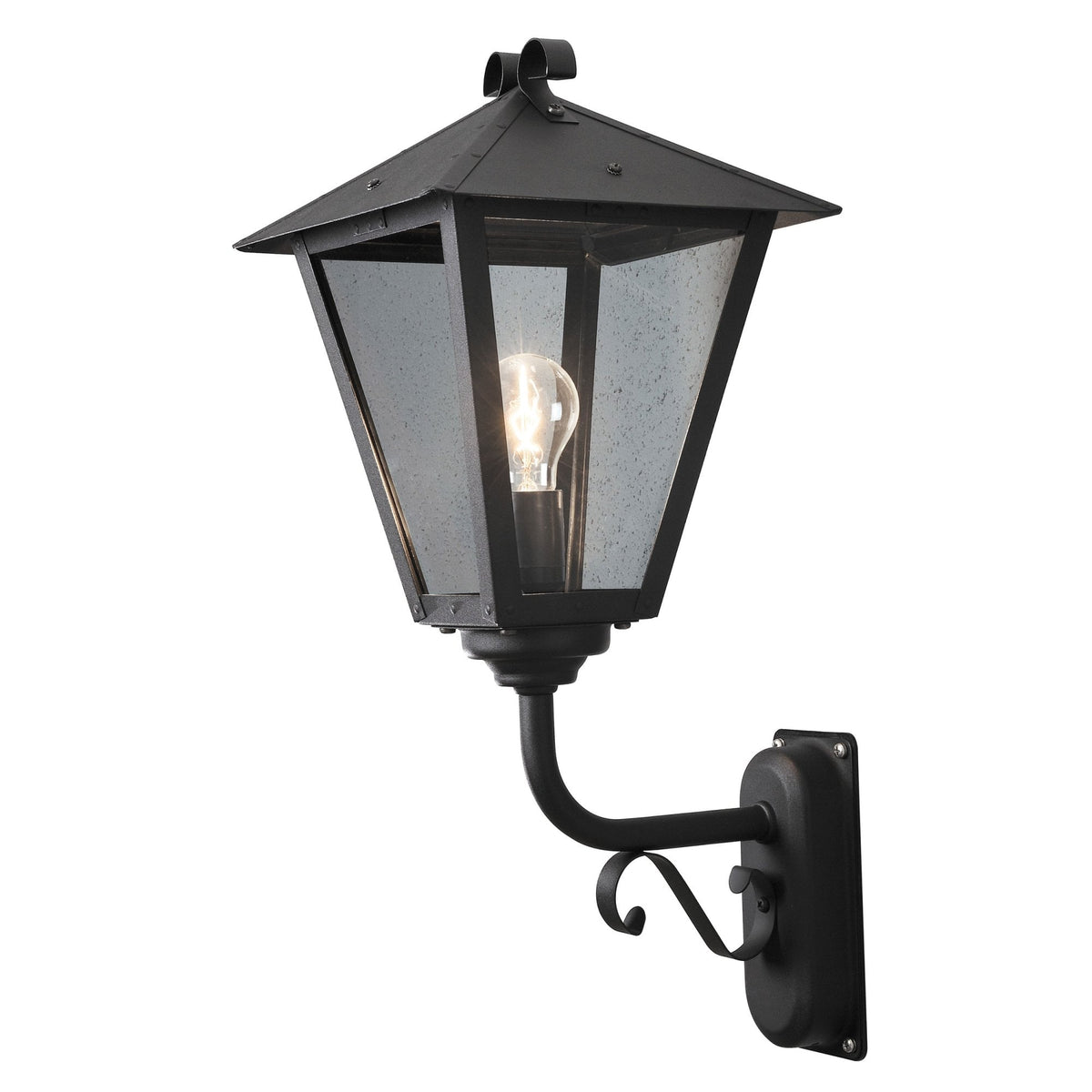 A black outdoor wall light with clear glass and a visible bulb, on a white background.