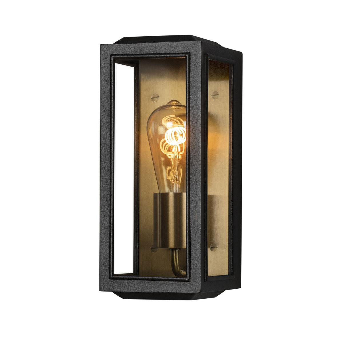 Carpi Small IP44 Exterior Wall Light in Black & Brass