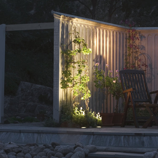 An outdoor evening scene with a climbing plant illuminated by ground lights against a fence.
