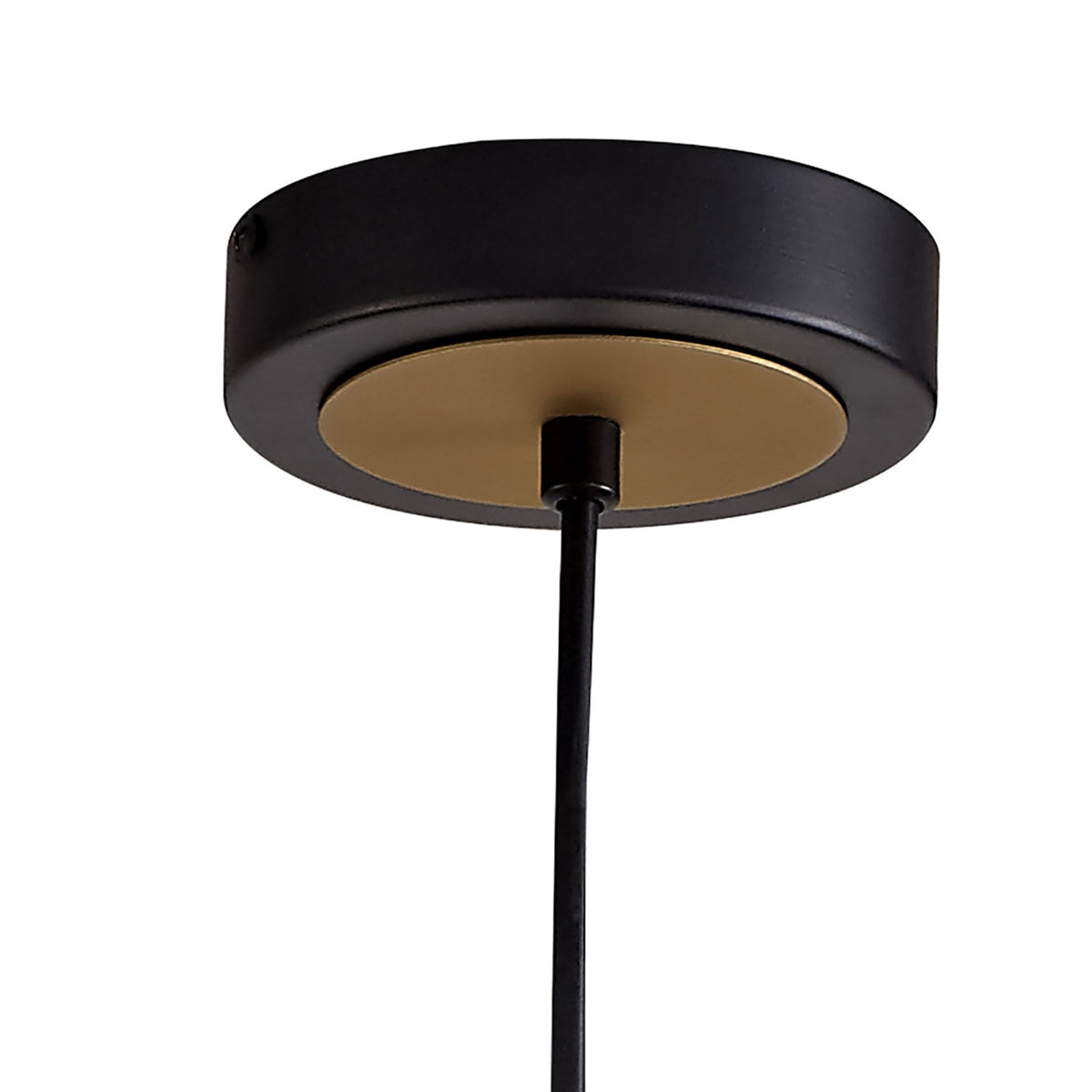 Radipole Pendant in Black and Satin Gold