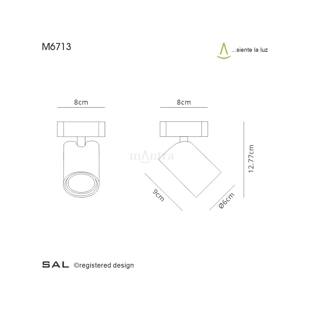 Sal Single Spotlight in Matt Black