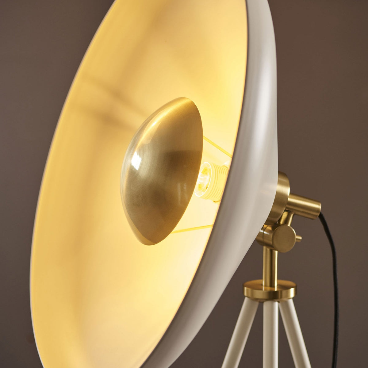 Glo Coned Floor Light in Warm White and Brushed Brass