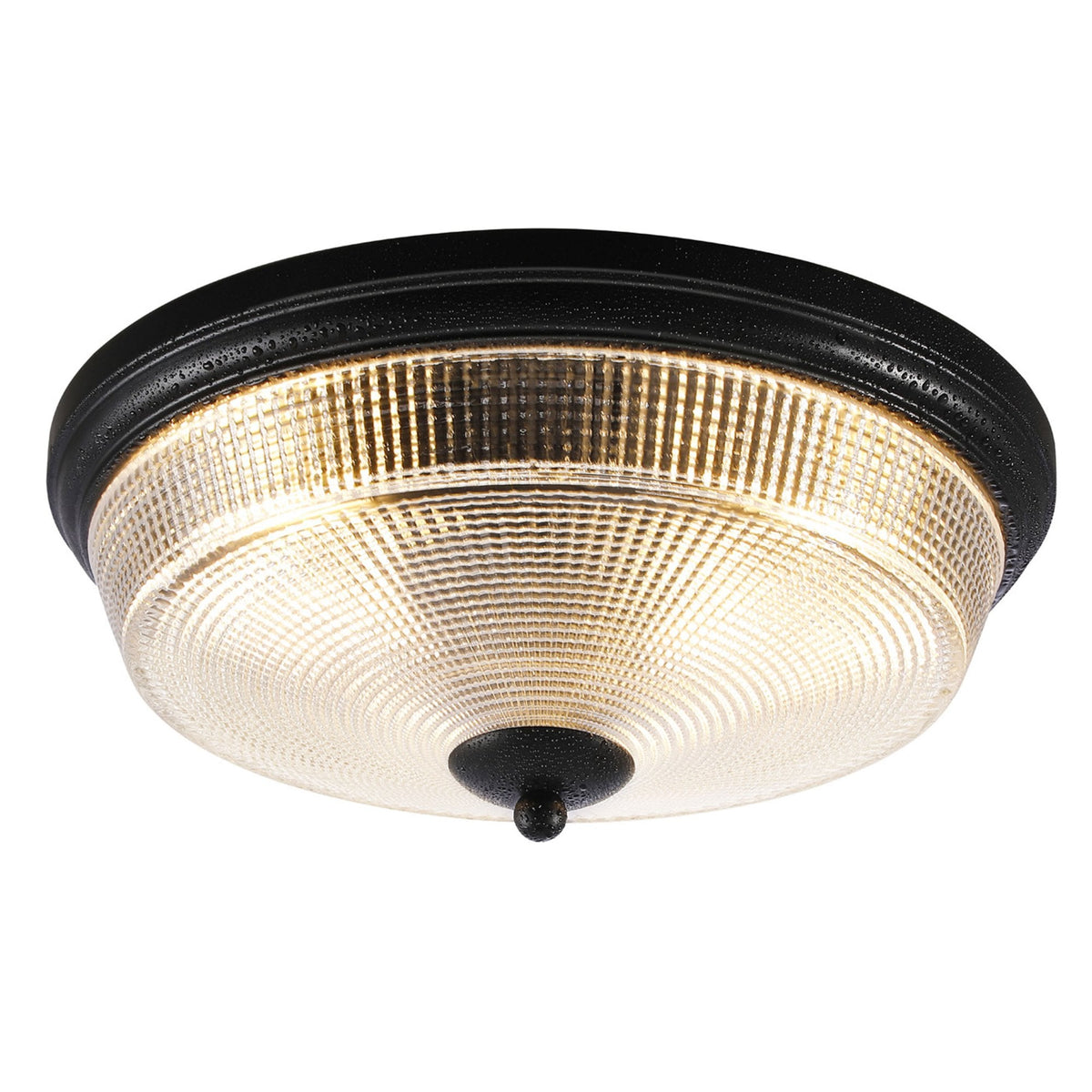 Arlington IP44 Ceiling Light in Satin Black with Prismatic Glass