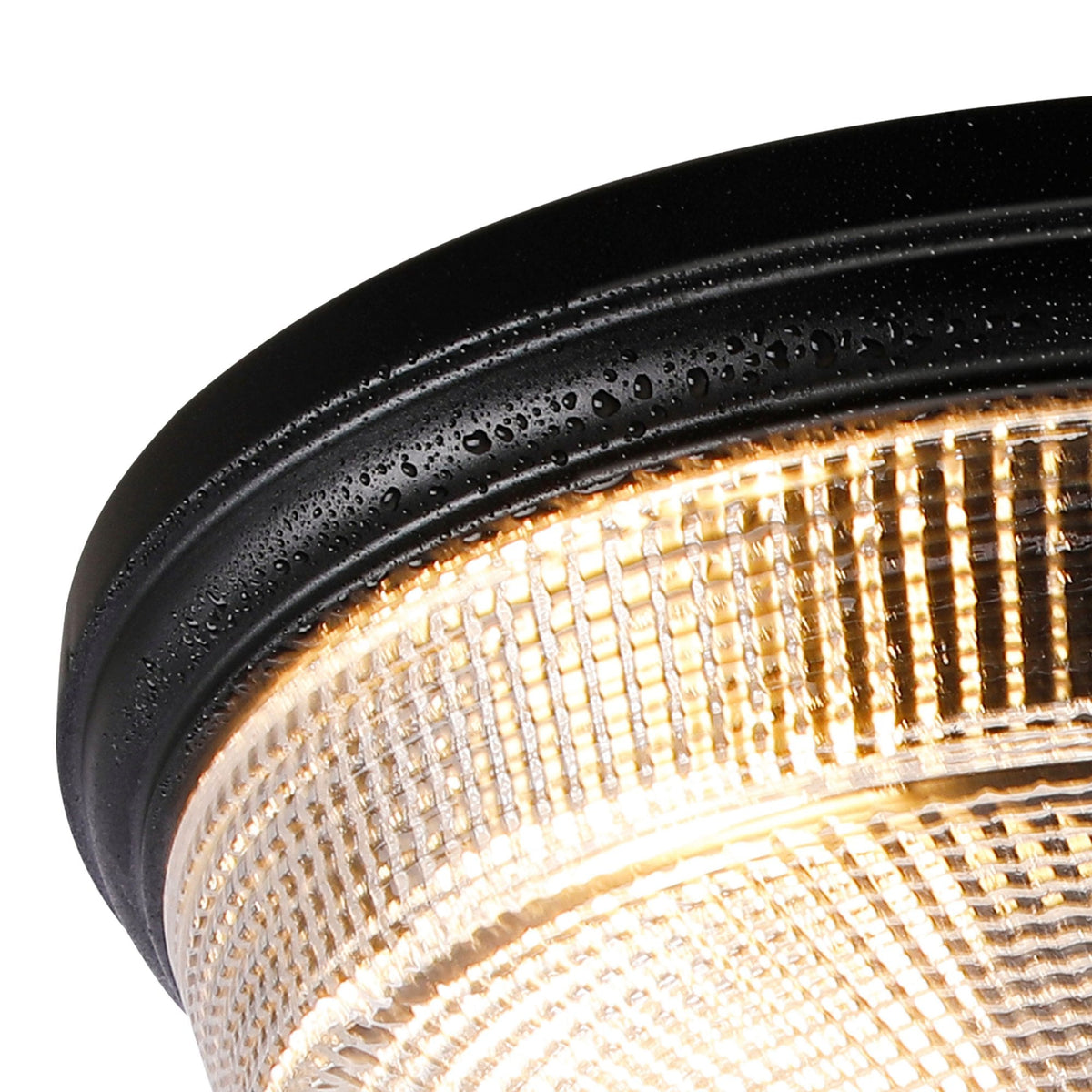 Arlington IP44 Ceiling Light in Satin Black with Prismatic Glass