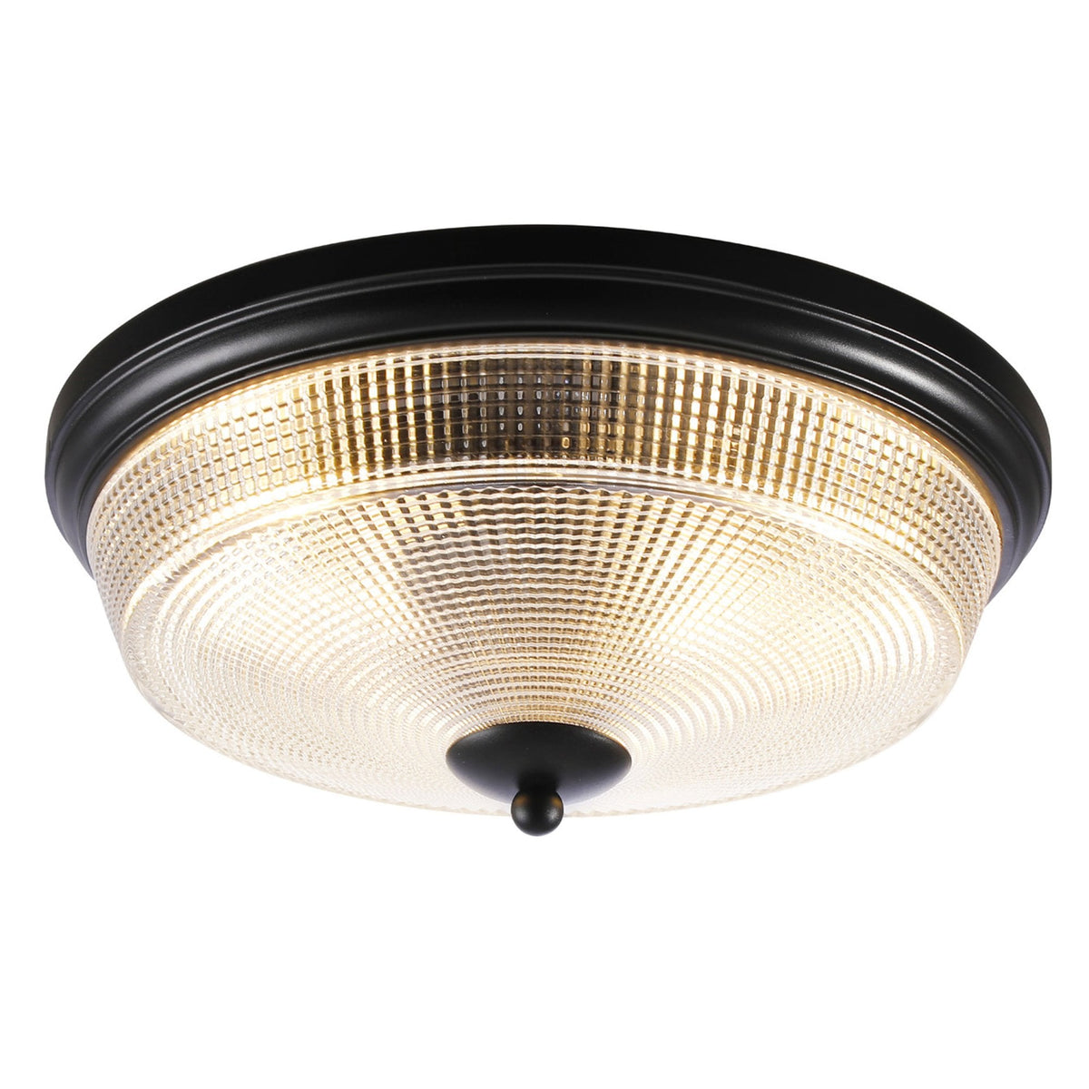 Arlington IP44 Ceiling Light in Satin Black with Prismatic Glass