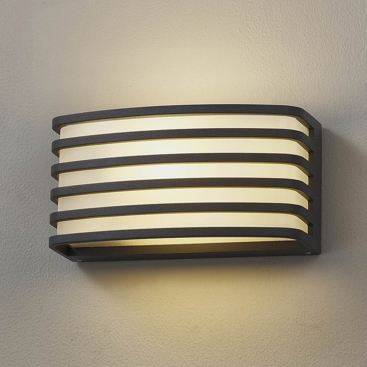 Babeny IP54 Exterior Wall Light in Anthracite