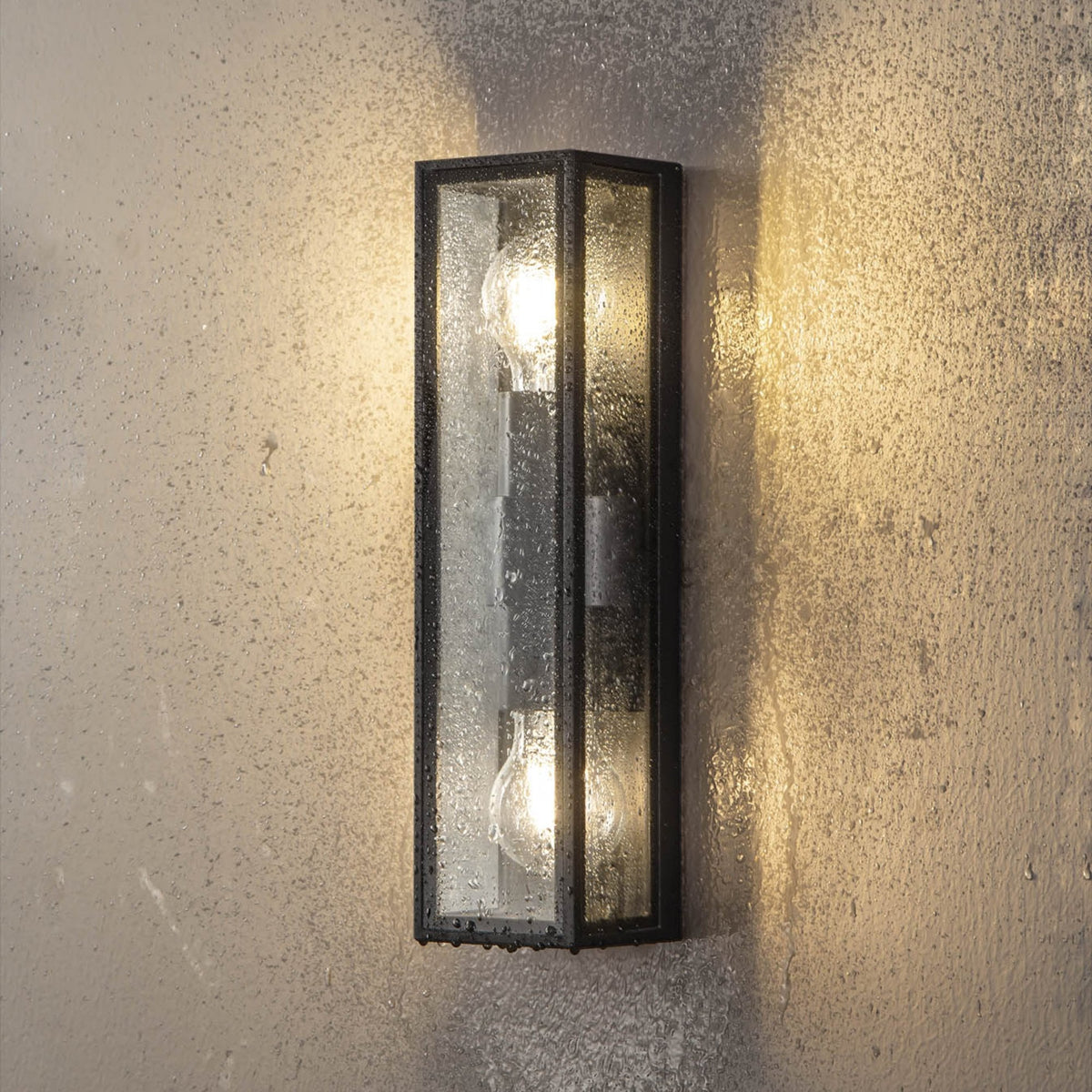 Honiton Twin Lamp IP65 Exterior Wall Light in Anthracite