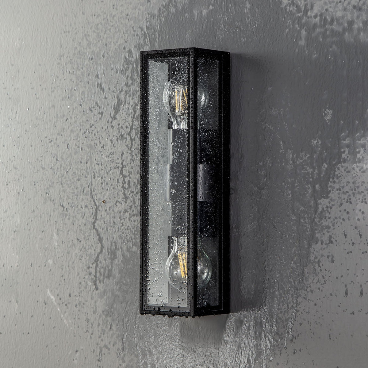 Honiton Twin Lamp IP65 Exterior Wall Light in Anthracite