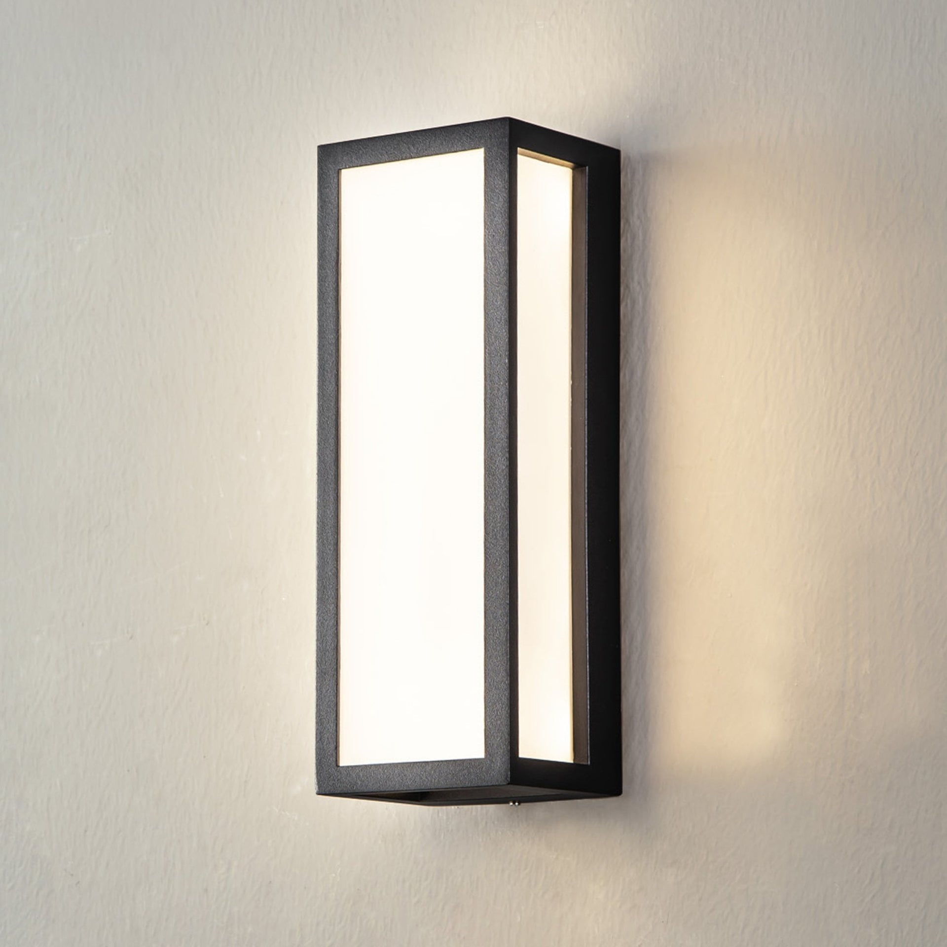 Honiton IP65 Exterior 10W LED Wall Light Anthracite